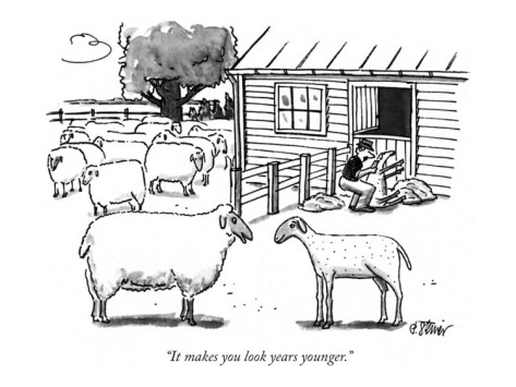 peter-steiner-it-makes-you-look-years-younger-new-yorker-cartoon